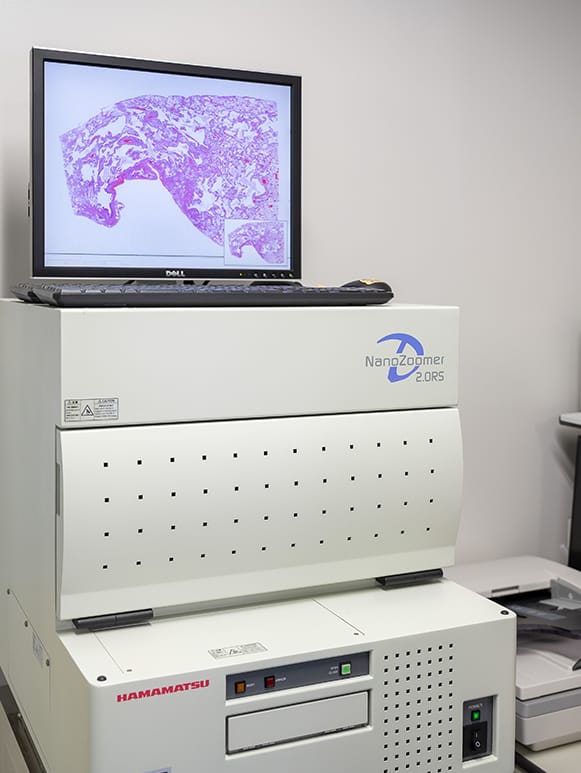 バーチャルスライド