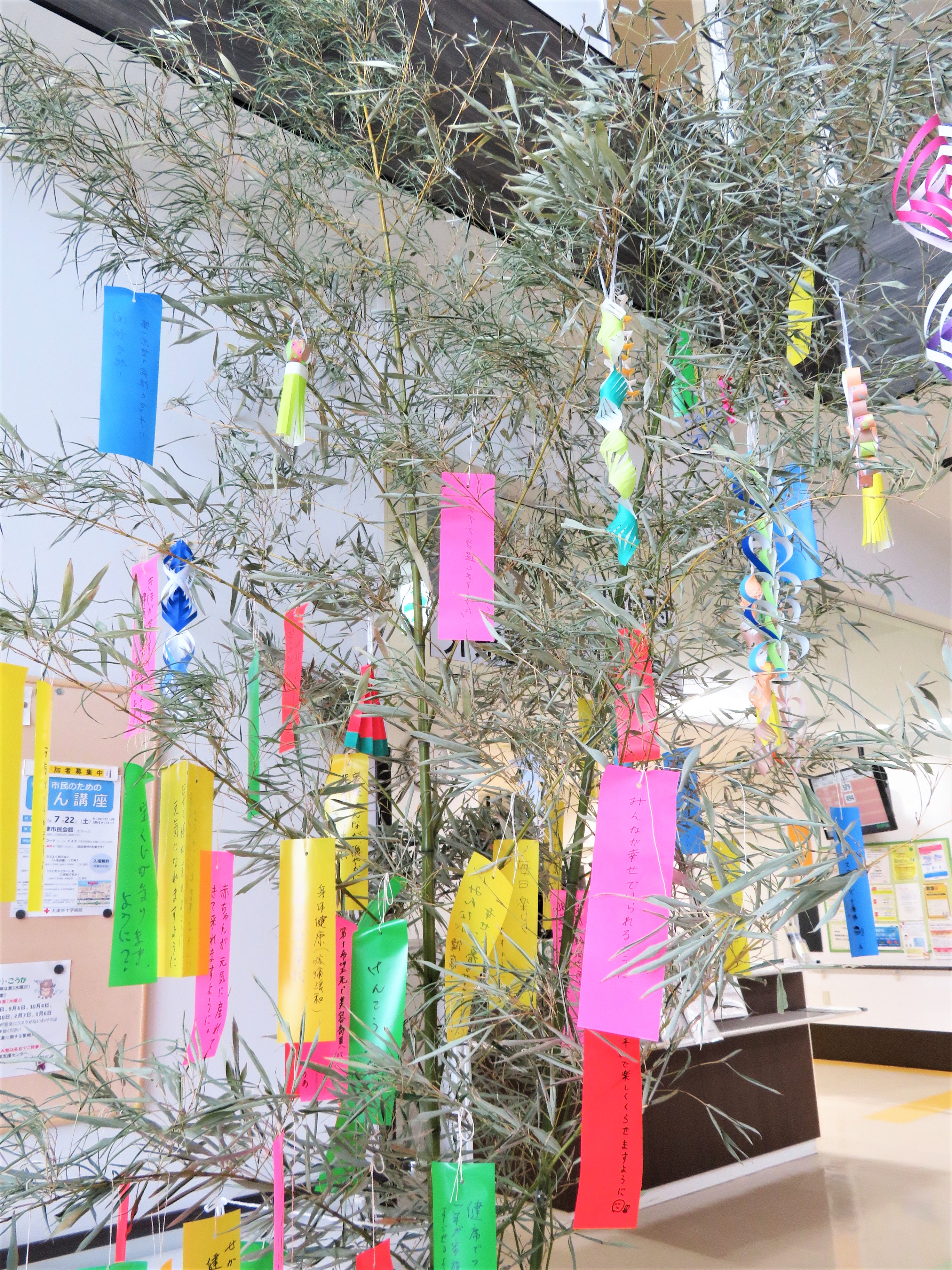 短冊に願いを込めて